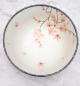 Preview: Udon Schale Momiji