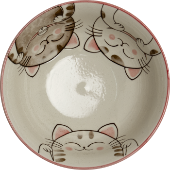 Ramenschale Katze rot
